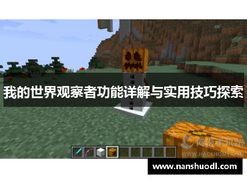 我的世界观察者功能详解与实用技巧探索