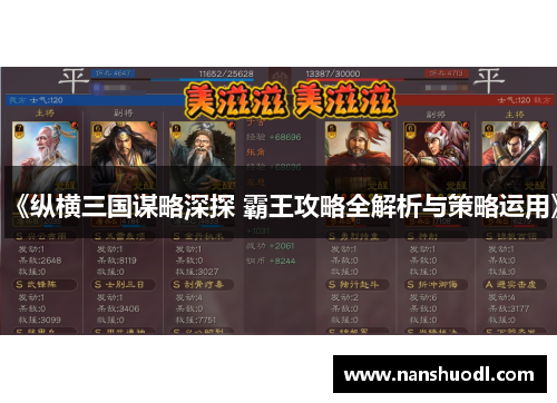 《纵横三国谋略深探 霸王攻略全解析与策略运用》