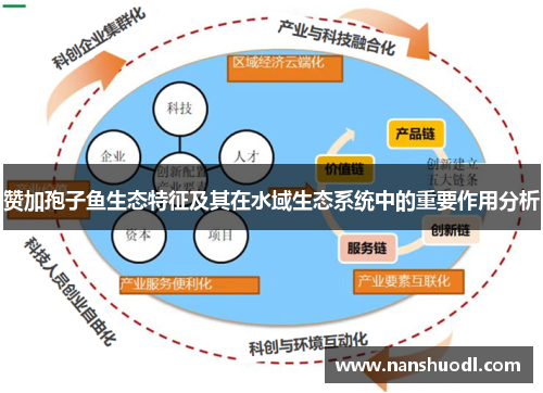 赞加孢子鱼生态特征及其在水域生态系统中的重要作用分析